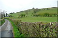 Towards Gaerstones Farm