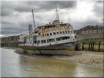 TQ4179 : MV Royal Iris on the Thames by David Dixon