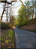 SK0414 : Long shadow on Startley Lane by Richard Law
