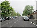 Leopold Street - viewed from Frankland Place