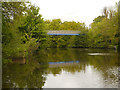 River Medway, Footbridge at Whatman Park