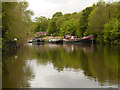 River Medway, Sandling