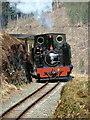 SN7377 : No. 8 at Ty'n-y-castell, Vale of Rheidol Railway by John Lucas