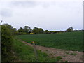 TM3884 : Footpath to Great Wood & Ringsfield Road by Geographer