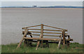 Driftwood Bench