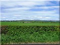 Fields east of Boclair