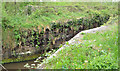 Disused lock no 13, Lisburn (2013)