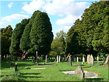 SJ6671 : Churchyard, St Wilfred's Church, Davenham by Eirian Evans