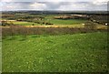 View from Burrow Hill