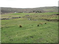 Rough grazing near Badfearn