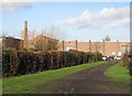 Bobbers Mill: allotments and Ascot Works