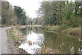 Basingstoke Canal