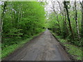 Track leading to the Scotney Castle Estate