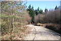 Track, Mansbrook Wood