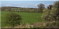 Farmland near Wolfridge Farm