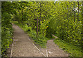 A fingerpost in Throslock Woods marks the high road and the low road