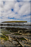 HY2428 : Rocky Shore by the Point of Buckquoy by Andy Farrington