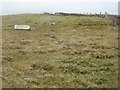 NB3954 : Pasture at Loch an Dùin by M J Richardson