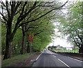 A809 towards Tambowie entrance