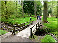 H4882 : Gortin Glens Forest park (48) by Kenneth  Allen