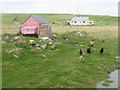 Gingham chicken house at Coig Peighinnean