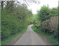 North Lane south of Lower Lidham Hill Farm