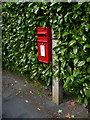 Longburton: postbox № DT9 50, New Cross