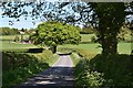 Pikers Lane near Pikers Lane Farm