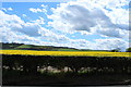 Farmland at West Kyloe