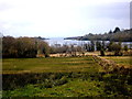 G9857 : Fields running down to the western shore of Lower Lough Erne by D Gore