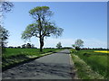 Lane towards Fulstow