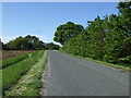 Minor road heading north, Fulstow Top