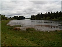 NO5240 : Crombie reservoir, Crombie Country Park by Euan Nelson