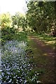 Path in Daneshill Nature Reserve