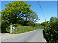 View north from the southern entrance to Lyneham, near Yealmpton