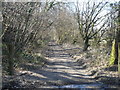 Disused trackbed of the Newcastle Emlyn branch