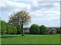 Park overlooking Harold Hill