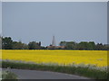 St Peter and Paul, Steeple Morden, seen from across oil seed rape  field