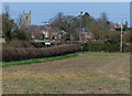 Field and hedge along Newton Road