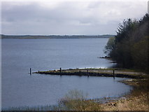 H1355 : Landing stage at Drumcrow, Co. Fermanagh, on the south shore of Lower Lough Erne by D Gore