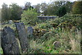 Dail na Cille (Burial Ground), Kingairloch