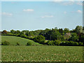 View towards the A120