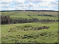 Disused mine shafts in the valley of Nookton Burn (2)