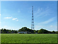 Radio mast near Gosfield