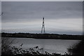 Pylon, Nazeing Meads Lakes