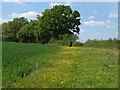 Footpath across the fields