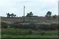 Rough heathland, Greenlaw Moor