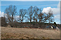 Field with trees at Kincardine