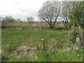 Cornavarrow Townland