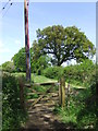 Footpath near Plumpton, Sussex